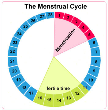 Cara Mencegah Kehamilan Dengan Sistem Kalender Kaedah kalendar atau kaedah irama kalendar, adalah satu bentuk kontraseptif semulajadi untuk mengelakkan kehamilan tanpa risiko kesan sampingan.
